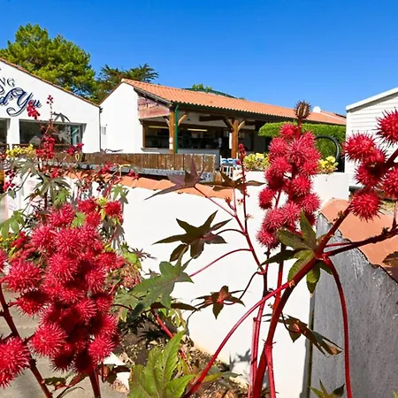 Mobil Confortable Avec Terrasse A - Api-1-52-516