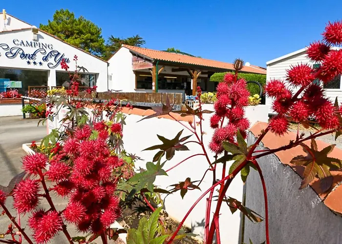 Mobil Confortable Avec Terrasse A - Api-1-52-516