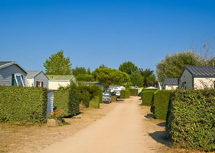 Mobil Confortable Avec Terrasse A - Api-1-52-516