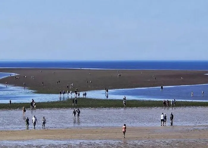 Mobil Confortable Avec Terrasse A - Api-1-52-516 * ノートル・ダム・ド・モン