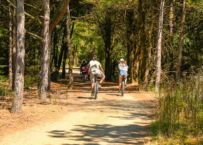 Mobil Confortable Avec Terrasse A - Api-1-52-516 キャンプ場 ノートル・ダム・ド・モン